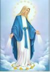 Solemnity of the Immaculate Conception of the Virgin Mary Mass Times